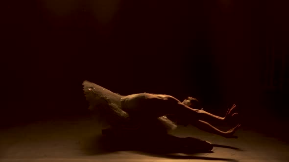 Silhouette of a Graceful Ballerina in a Chic Image of a White Swan. Classical Ballet Choreography