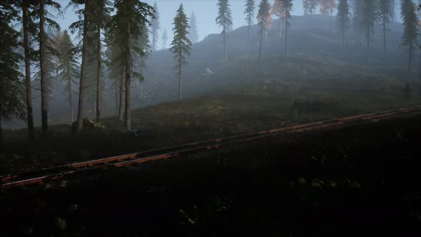 National Forest Recreation Area and the Fog with Railway