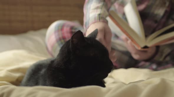 Pet owner reading book in bed stops to pet black cat medium shot