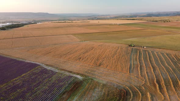 Aerial View on Ripe Wheat Field in Countryside