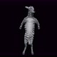 55 Zebra Dancing 4K - VideoHive Item for Sale