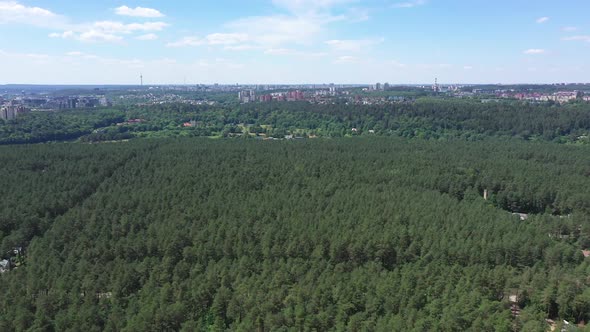 Aerial Flying Towards City Above Forest