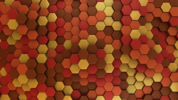 Autumn Hexagon Background / Fall