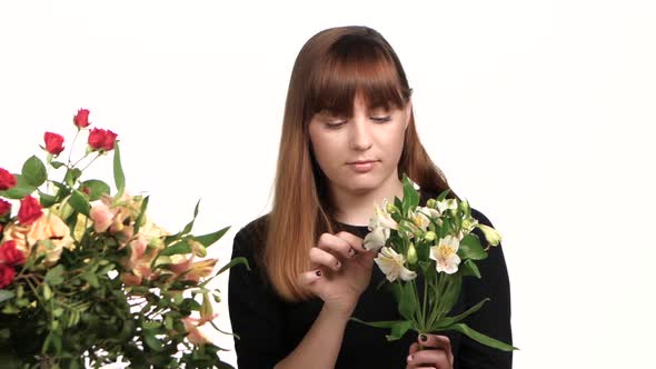 Florist Picks Flowers From Her Shop's,  Alstroemeria, White