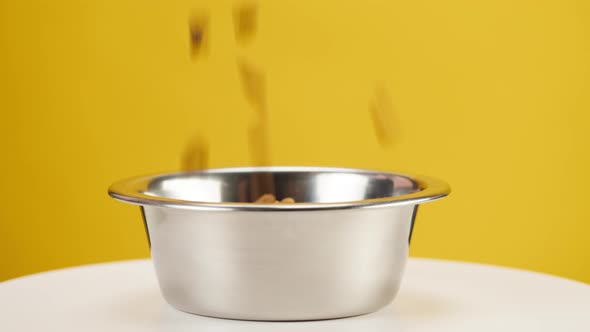 Pouring Dry Dog Food Into Metal Bowl Closeup