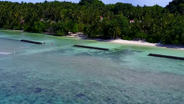 Drone aerial travel of marine lagoon beach wildlife by blue ocean and sand background