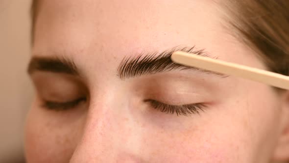 Permanent Eyebrow Styling