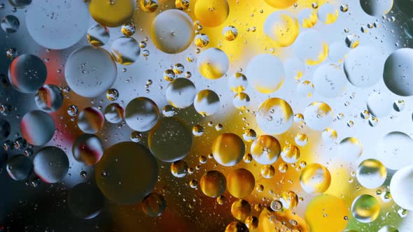Fantastic Structure of Colorful Oil Bubbles