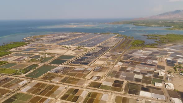 Shrimp Farming in Indonesia