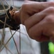 Crop Mechanic Detaching Bicycle Wheel - VideoHive Item for Sale