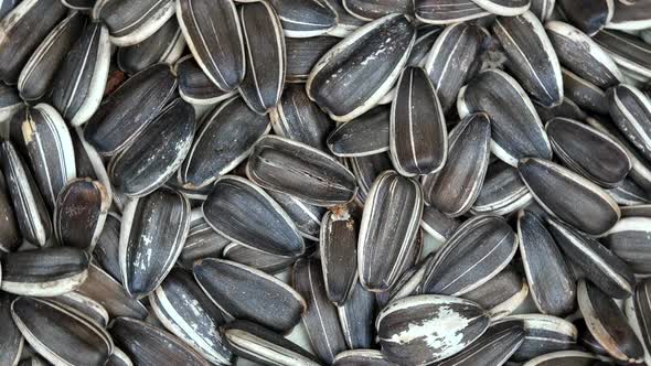 Organic Sunflower Seeds. Turntable Counterclockwise