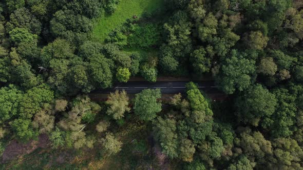 High birdseye view of dense English woodland as cars drive on the road