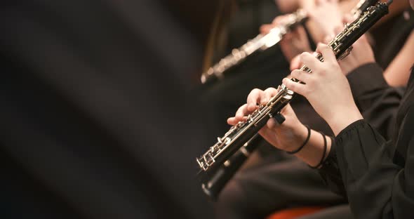 Femalne Musician Playing Clarinet During Concert