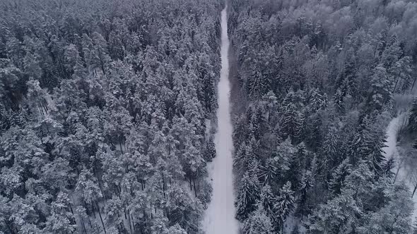 Aerial view of a snowy forest in Estonia