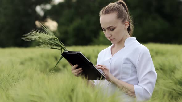 Farmer wearing white bathrobe is checking harvest progress on a tablet at the green wheat field