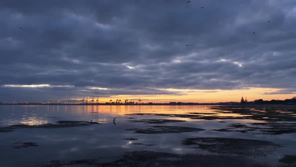 Sunrise Landscape With Birds Flying On The Sky At The Port Of Tauranga Across Tauranga Harbour In Ne