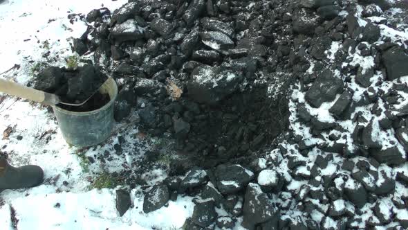 A Man Shovels Pieces of Coal Into a Bucket with a Shovel on a Winter Day