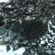 A Man Shovels Pieces of Coal Into a Bucket with a Shovel on a Winter Day - VideoHive Item for Sale