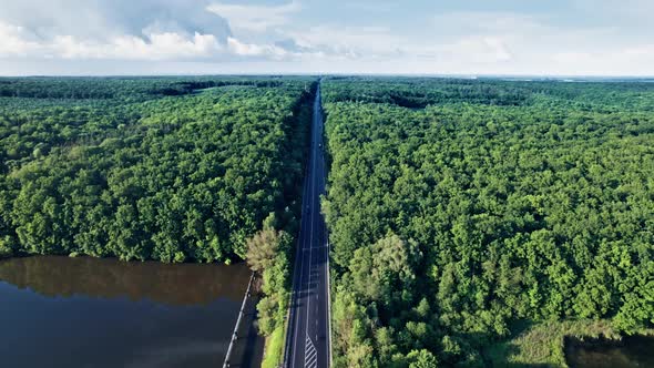 Road With Cars in Colorful Countryside Forest