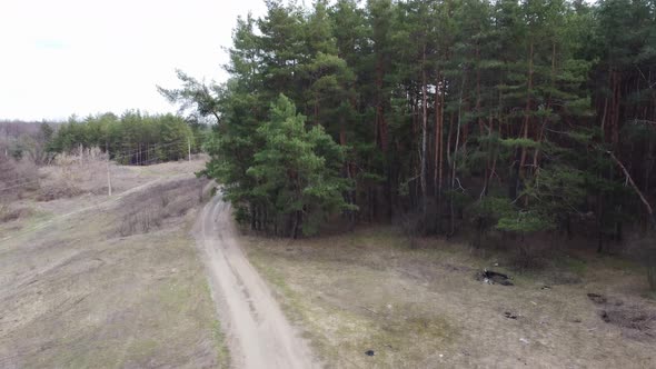 Cloudy Aerial Video of Pine Forest Flying Above