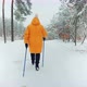 Elderly Woman Practicing Nordic Walking In Forest. Sticks Walking On Winter Wood. Sport Activities. - VideoHive Item for Sale
