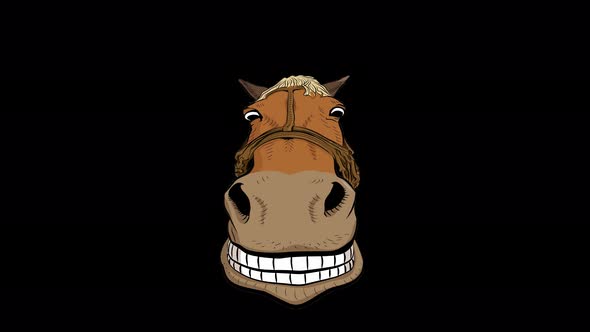 Horse Smiling