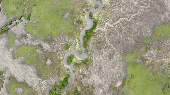 AERIAL DIRECTLY ABOVE Winding Green Wetlands And Creek