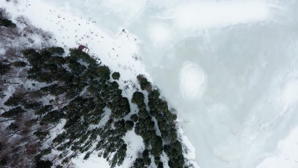Pine trees at frozen alpine lake in Carpathian mountains, Romania, top down view