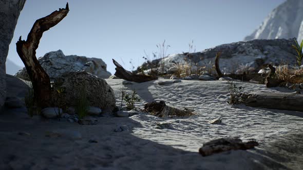 White Sand Beach Near Rocky Cliffs at Ocean alt