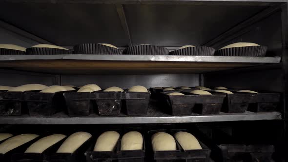 Jars for loaves of raw bread in bakery