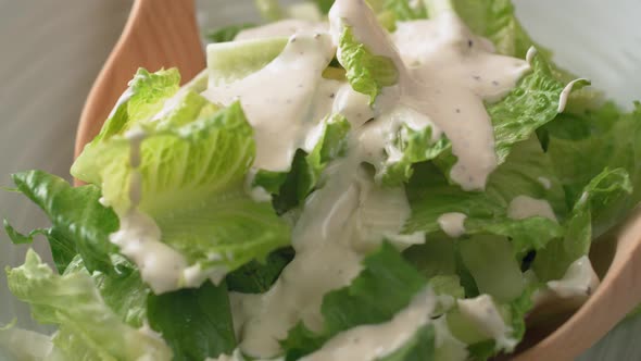 Camera follows tossing salad with dressing. Slow Motion.