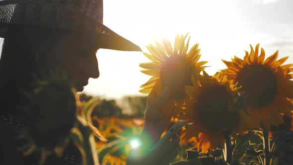 Young Attractive Farmer in Hat Working with Tablet in Sunflower Field Inspects Blooming Sunflowers