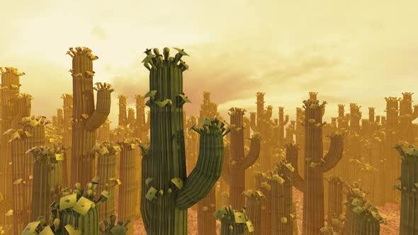 Cactus Land Background Western Style Hd