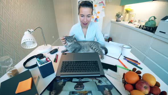 A Lady with a Cat Is Taking Part in an Online Meeting at Home. Group of Colleagues Talking Using