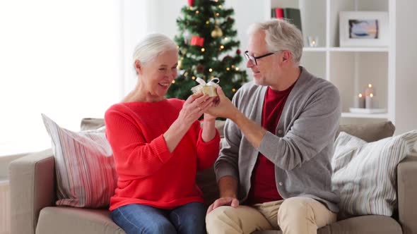 Happy Smiling Senior Couple with Christmas Gift 