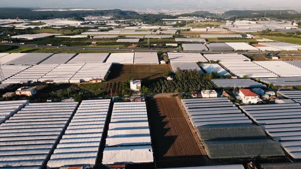 Agricultural Industry Greenhouse