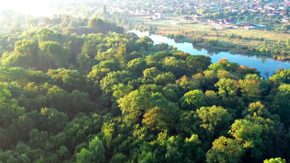 Nice top view of the park, forest covered with greenery. Morning river in fog.