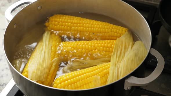 Boiling Corn at the Pan