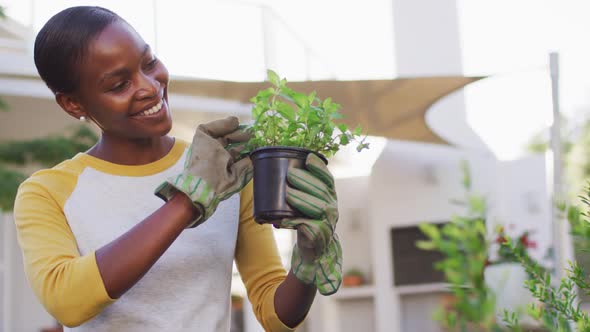 Happy african amercian woman gardening holding pot plant in garden