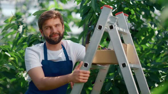 Man Farmer Smiling Berry Box Enjoying Work on Plantation in Sunny Warm Day