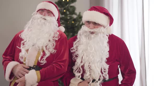 Portrait of Two Santas in Red Costumes Laughing and Holding Bellies. Positive Funny Caucasian Men