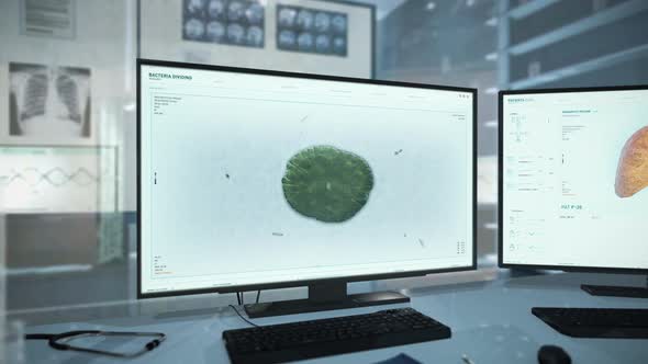 Bacteria Cells Division Research Used At A Microbiological Science Laboratory alt