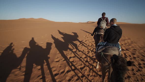 Long Shadows of Camel Caravan on Desert Sand