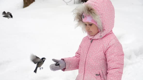 Birds Eating Seeds From Children's Hand