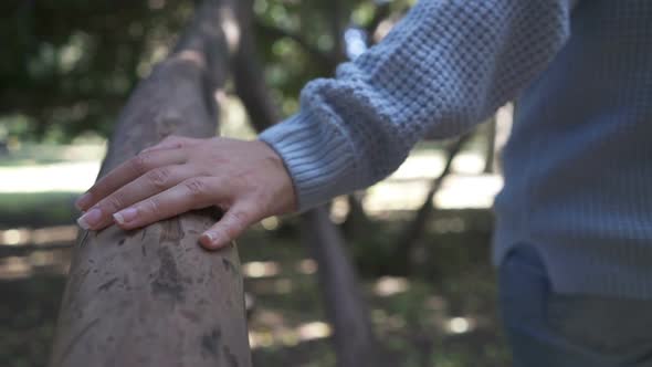 Close Up Woman Hand's That Touching on Tree Trunk in the Forest