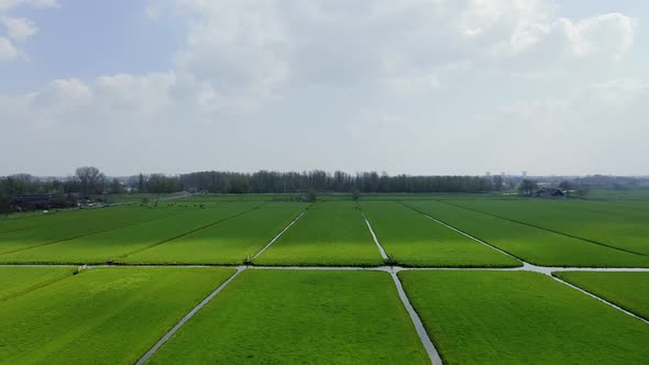 Aerial View Landscape And Sky