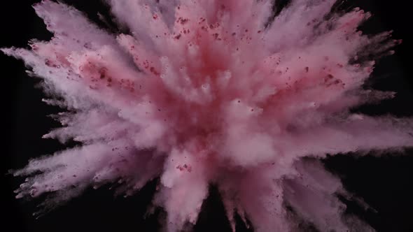 Colorful powder/particles fly after being exploded against black background. Slow Motion.