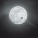 plane passing over full moonlight night loop - VideoHive Item for Sale