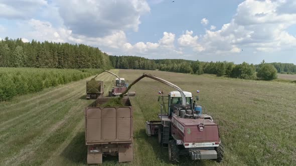Drone view of two Combines harvesting and trucks on grass field. 41