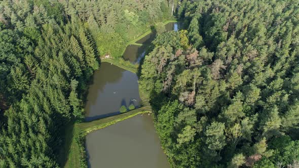 Flight over fish ponds in forest, Bavaria, Germany.